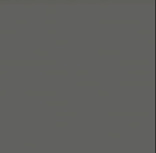 GreyhoundPaintPureStyle