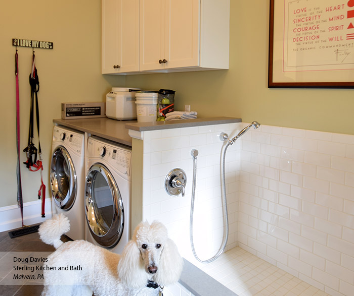 Laundry room with white wall cabinets and a pet-bathing station