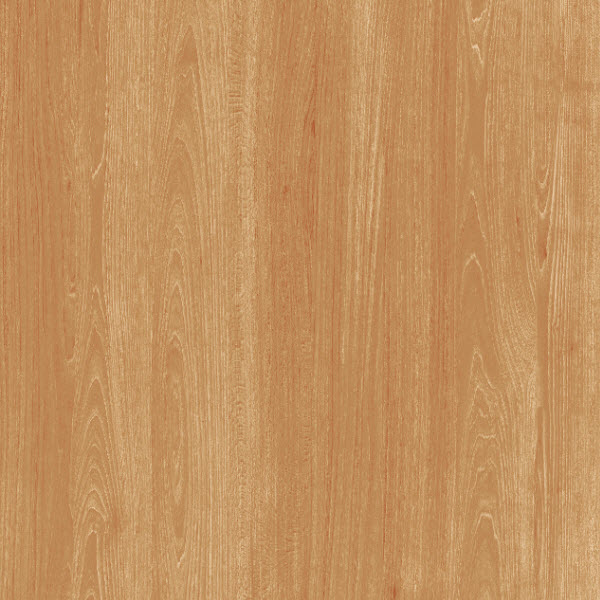 600x600BirchNatural